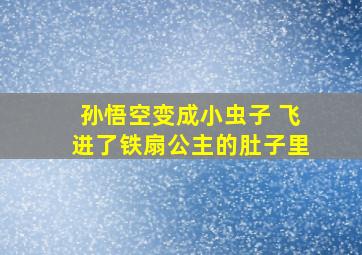 孙悟空变成小虫子 飞进了铁扇公主的肚子里